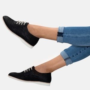 Rollie Australia derby shoes- size 37/6.5 black lace up leather upper